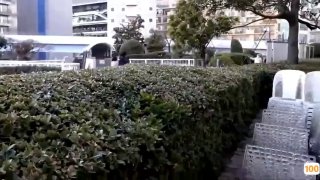 人设学妹i